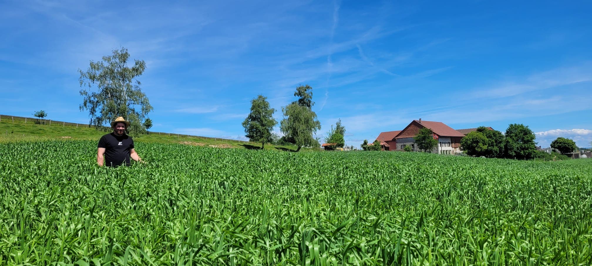 Dans les champs de La Ferme Pidoux